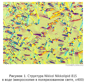 Структура NIKKOL Nikkolipid 81S в воде (микроскопия в поляризованном свете, х400)