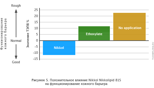 Положительный влияние NIKKOL Nikkolipid 81S на функционирование кожного барьера