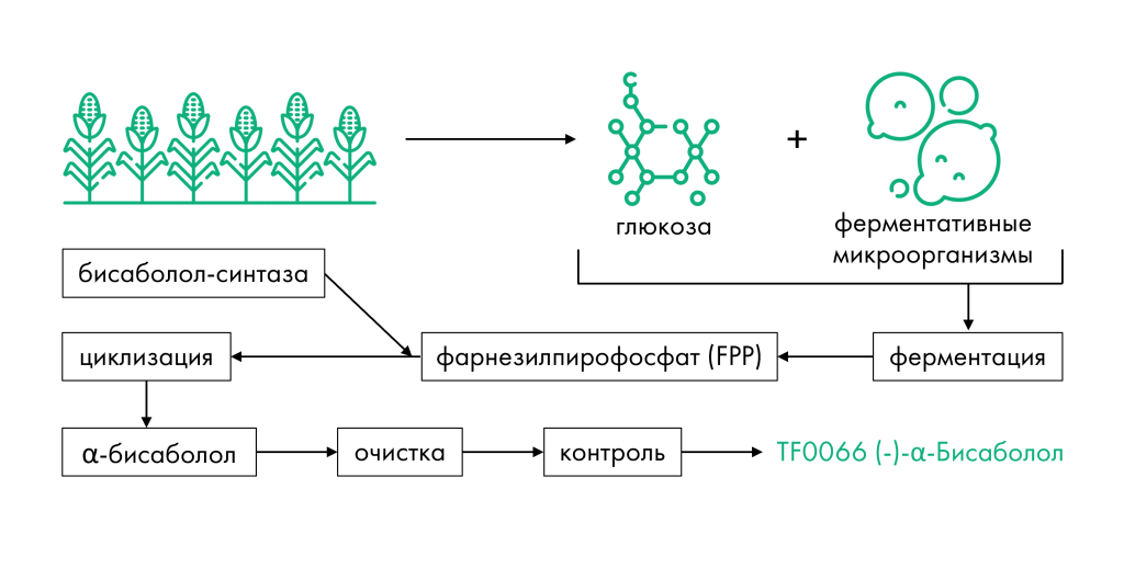 Схема ферментативного получения бисаболола